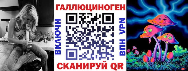 блэк спрут ссылка Шахты Псилоцибиновые грибы Cubensis