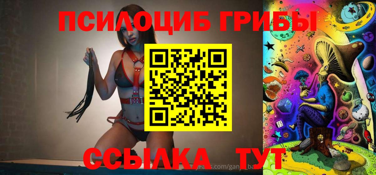 Псилоцибиновые грибы GOLDEN TEACHER Шахты