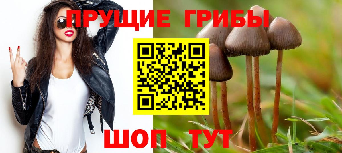 Шахты  Галлюциногенные грибы мухоморы  Галлюциногенные грибы мухоморы  Вход с VPN 